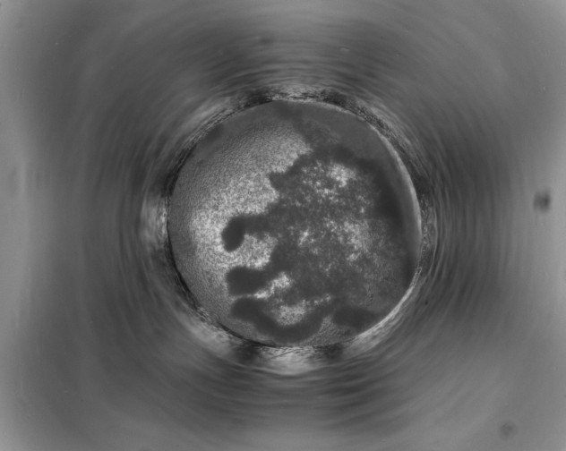 X0000098180191200805081033