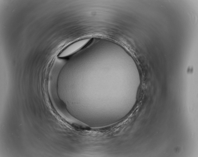 X0000098180193200805081032