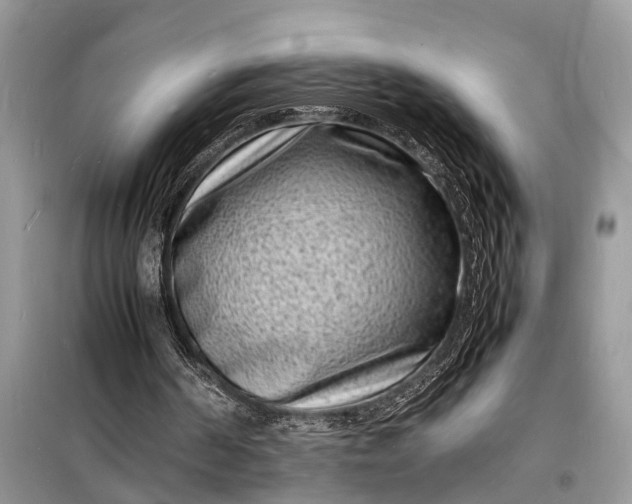 X0000098180194200805081032