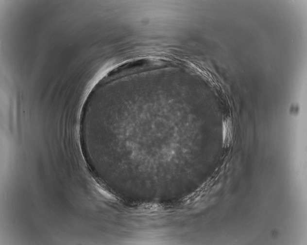 X0000098180195200805081032