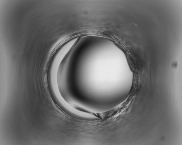 X0000098180197200805081032