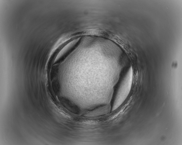 X0000098180198200805081032