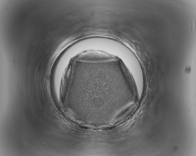 X0000098180199200805081032