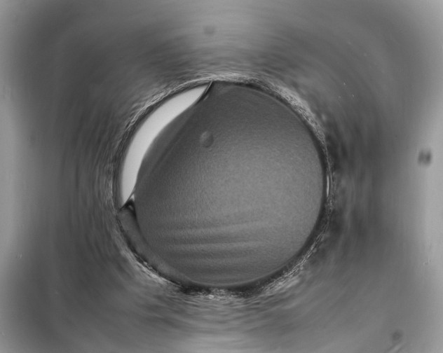 X0000098180201200805081032