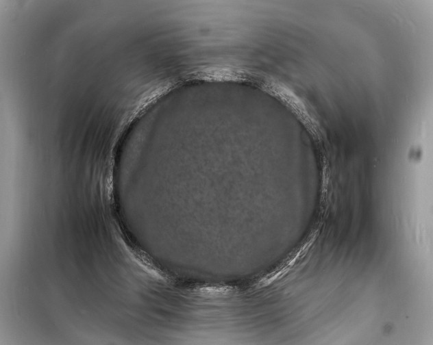 X0000098180202200805081032