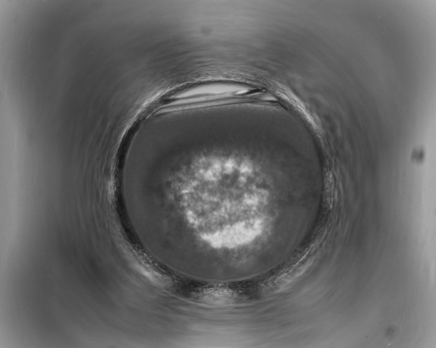 X0000098180203200805081032