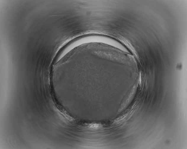 X0000098180204200805081032