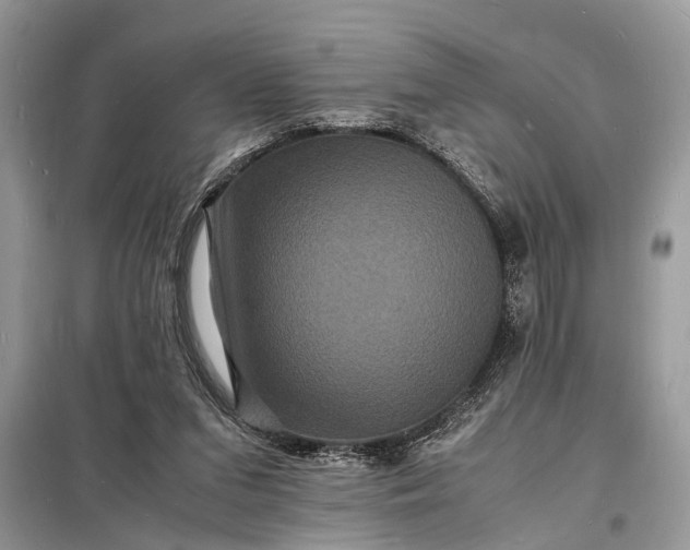 X0000098180207200805081032