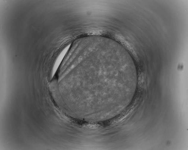 X0000098180209200805081032