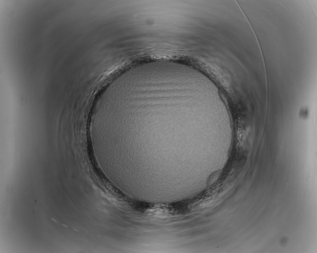 X0000098180211200805081032