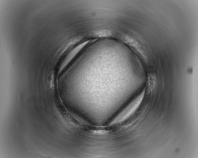 X0000098180212200805081032