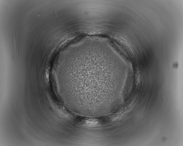 X0000098180214200805081032