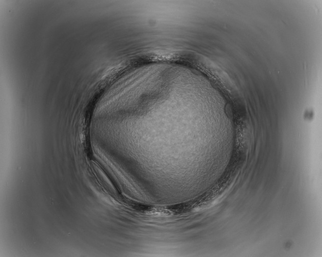 X0000098180215200805081032