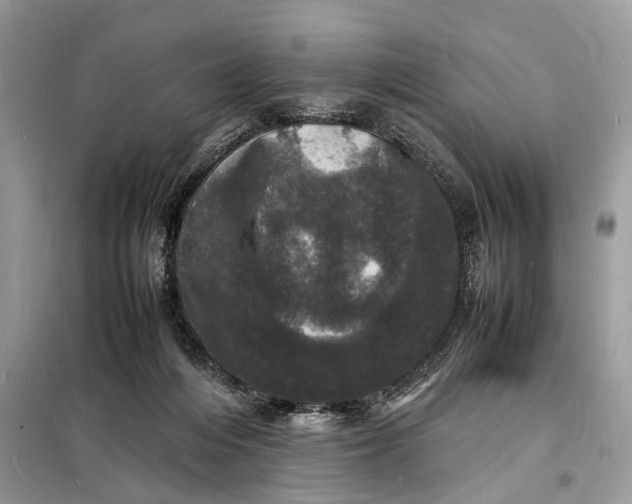 X0000098180216200805081032