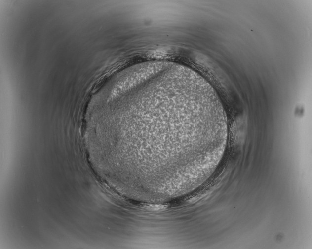 X0000098180217200805081032