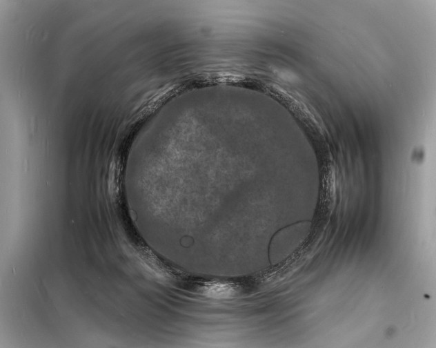 X0000098180218200805081032