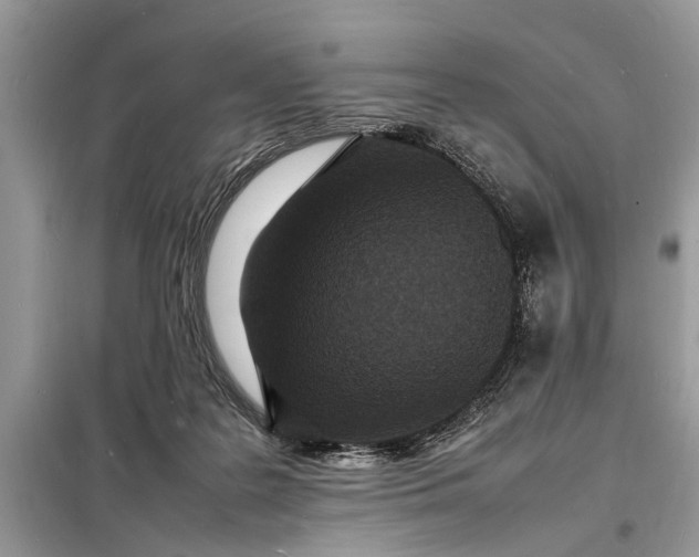 X0000098180219200805081032