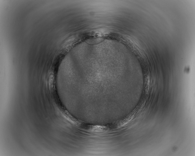 X0000098180222200805081031