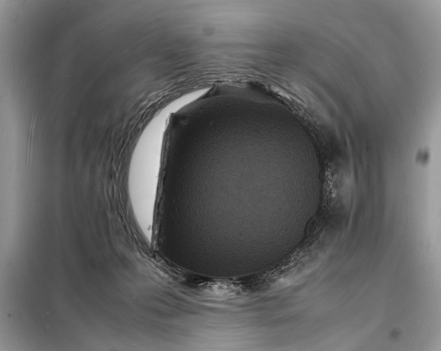 X0000098180223200805081031