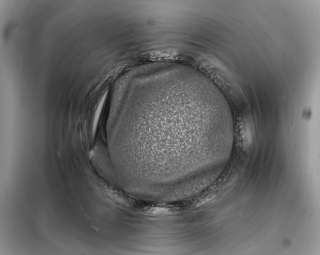 X0000098180224200805081031