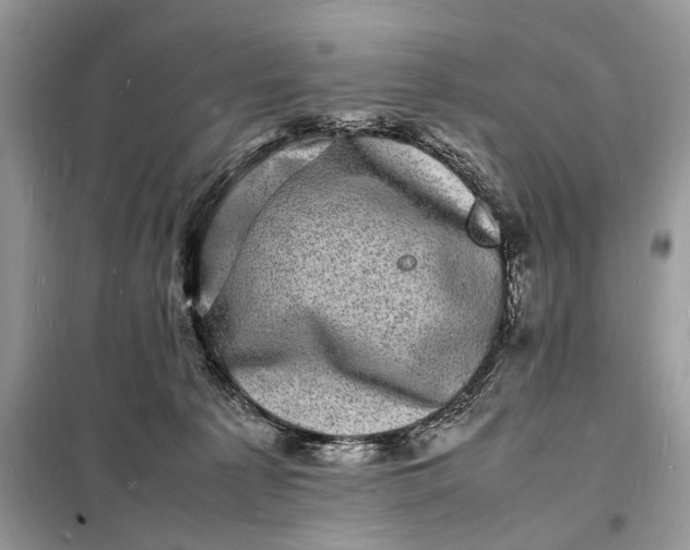 X0000098180225200805081031