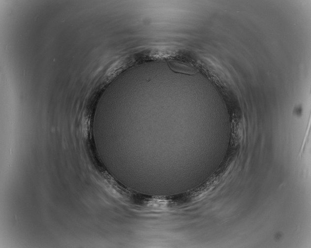 X0000098180227200805081031