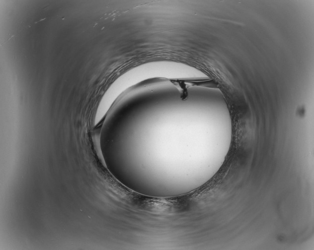 X0000098180229200805081031