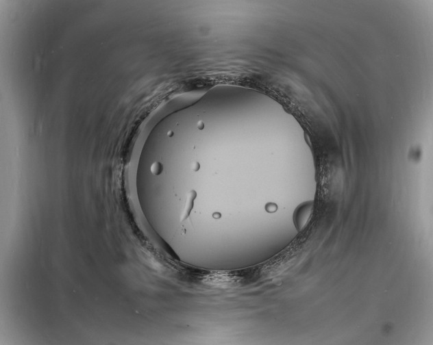 X0000098180231200805081031