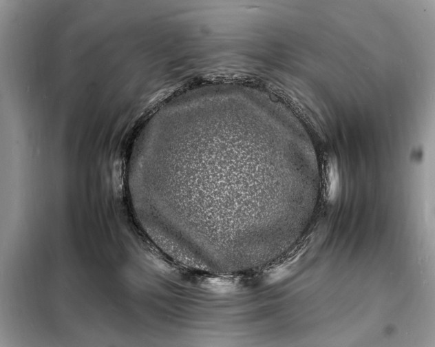 X0000098180232200805081031