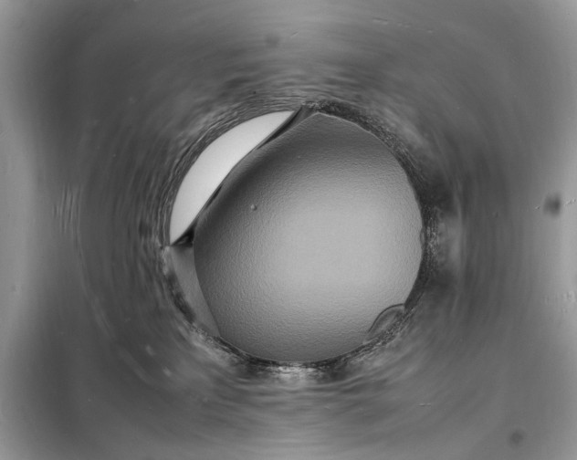 X0000098180233200805081031