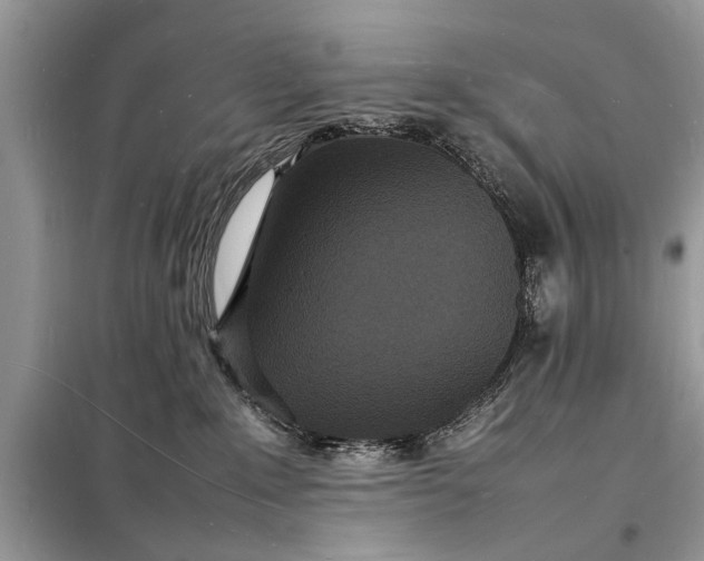 X0000098180235200805081031