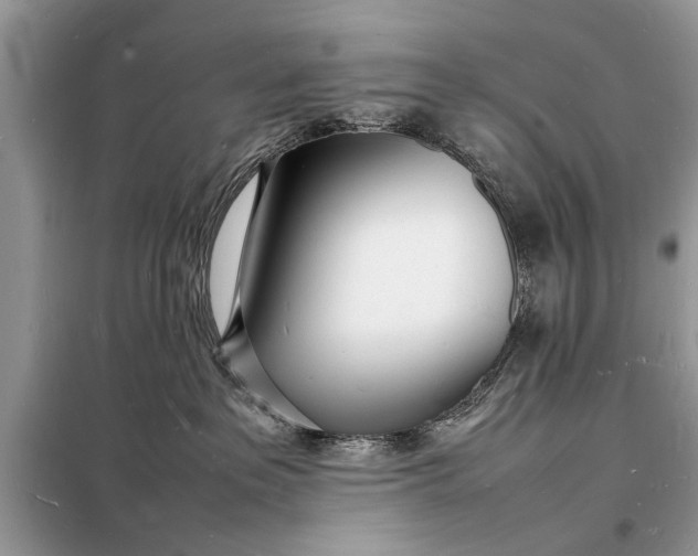 X0000098180237200805081031