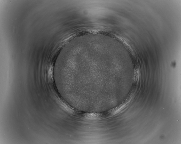 X0000098180238200805081031