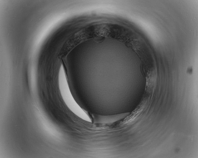 X0000098180239200805081031