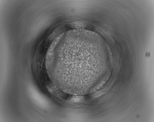 X0000098180240200805081031