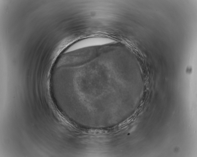 X0000098180242200805081030