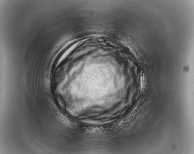 X0000098180243200805081030