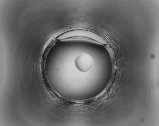 X0000098180244200805081030