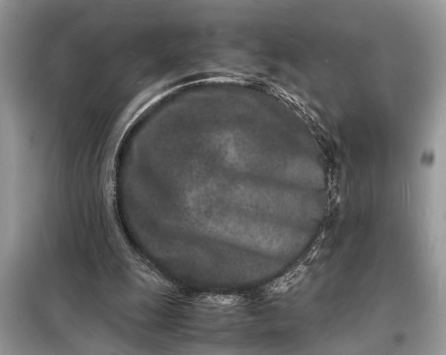 X0000098180247200805081030