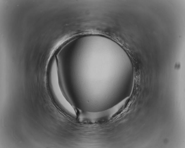 X0000098180248200805081030