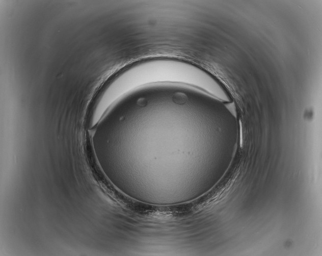 X0000098180252200805081030