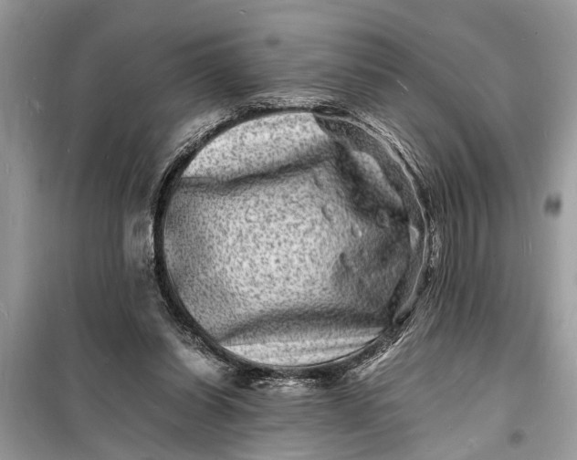 X0000098180254200805081030