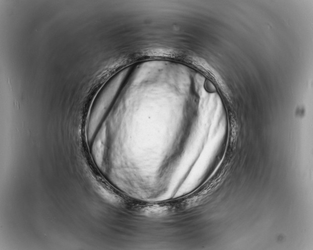 X0000098180257200805081030