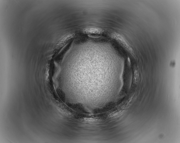 X0000098180259200805081030