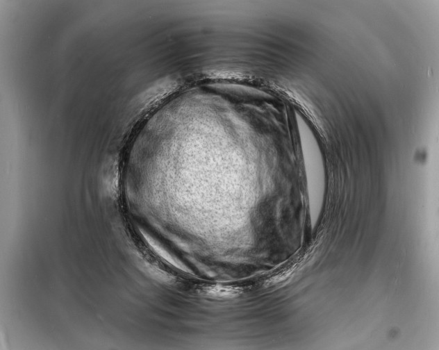 X0000098180261200805081030