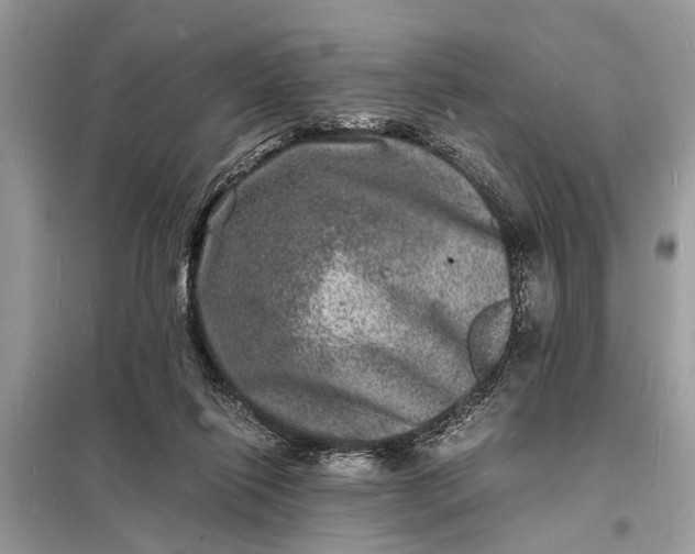 X0000098180262200805081030