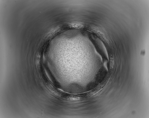 X0000098180263200805081030