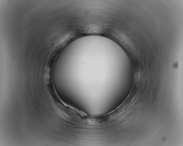 X0000098180264200805081030