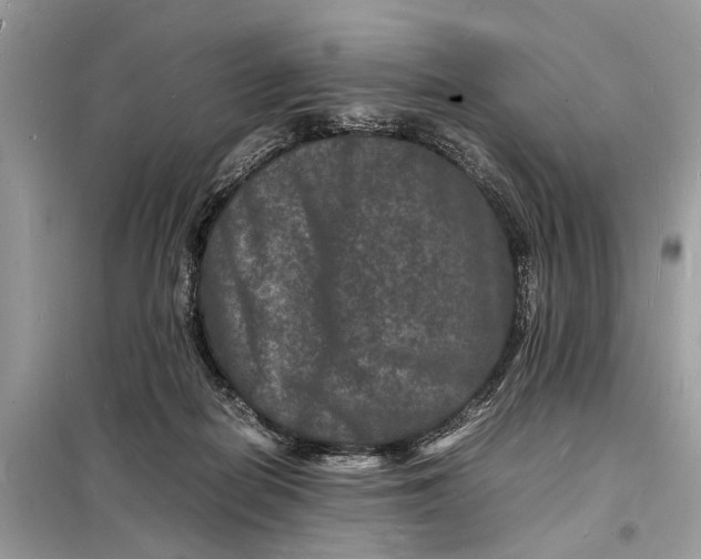 X0000098180266200805081031