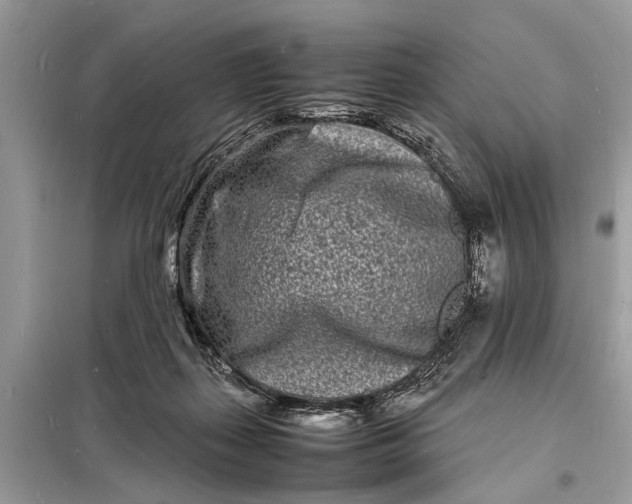 X0000098180267200805081031